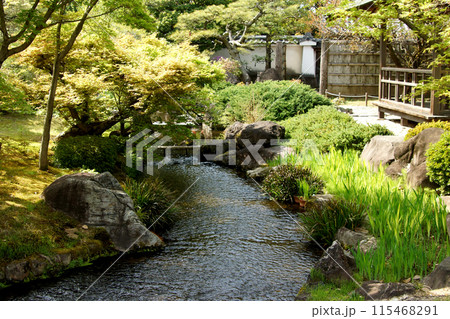 姫路城西御屋敷跡庭園「好古園」 春の日本庭園 流れの平庭 姫路城西御屋敷跡庭園「好古園」 春の日本庭園 流れの平庭 115468291