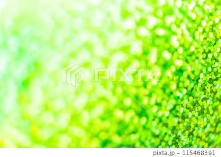 キラキラ・新緑 背景素材 115468391