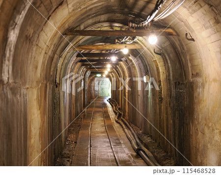 佐渡金山　道遊坑（明治官営鉱山コース）坑道 115468528
