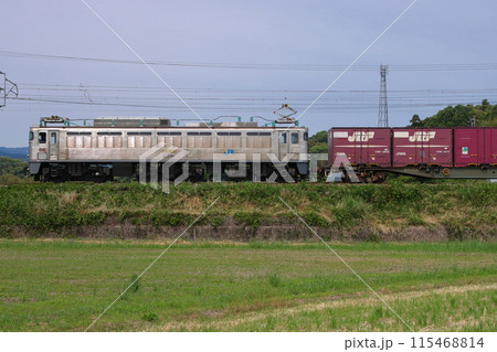 車体を輝かせながら疾走するEF81-303牽引の貨物列車(1087レ)_2024/5/20撮影 115468814