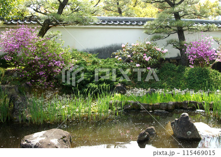 姫路城西御屋敷跡庭園「好古園」　春の日本庭園 115469015