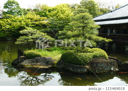 姫路城西御屋敷跡庭園「好古園」 春の日本庭園 姫路城西御屋敷跡庭園「好古園」 春の日本庭園 115469018
