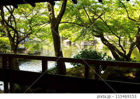 姫路城西御屋敷跡庭園「好古園」 春の日本庭園 姫路城西御屋敷跡庭園「好古園」 春の日本庭園 115469153