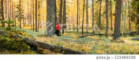 Active Young Adult Beautiful Caucasian Girl Woman Dressed In Red Jacket Walking In Autumn Green Forest. Active Lifestyle In Fall Age Nature During Sunset 115469198