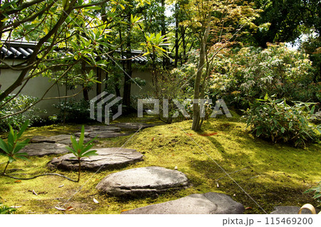 姫路城西御屋敷跡庭園「好古園」 春の日本庭園 姫路城西御屋敷跡庭園「好古園」 春の日本庭園 115469200
