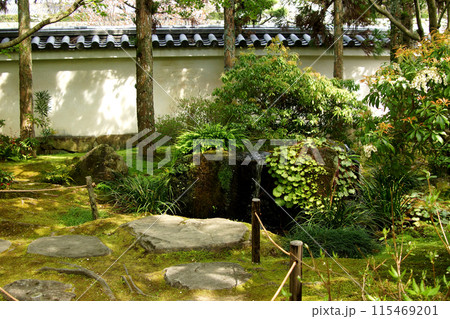 姫路城西御屋敷跡庭園「好古園」 春の日本庭園 姫路城西御屋敷跡庭園「好古園」 春の日本庭園 115469201