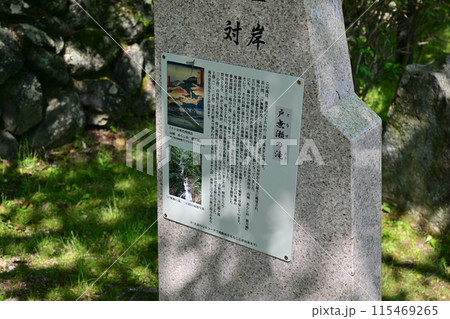 嵐山 115469265