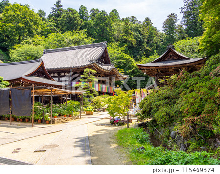 【奈良県】明日香村 岡寺 (2024/06/11撮影) 115469374