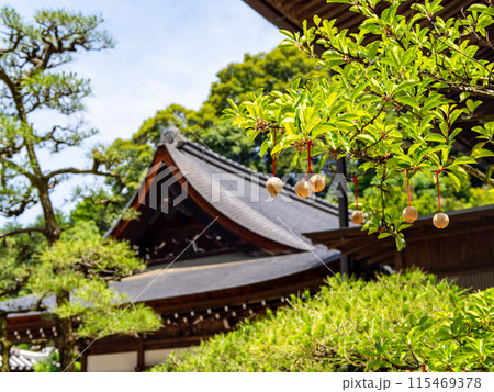 【奈良県】明日香村 岡寺 (2024/06/11撮影) 115469378