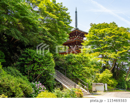 【奈良県】明日香村 岡寺 (2024/06/11撮影) 【奈良県】明日香村 岡寺 (2024/06/11撮影) 115469383
