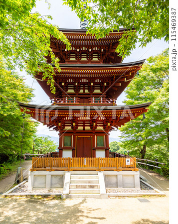 【奈良県】明日香村 岡寺 (2024/06/11撮影) 115469387