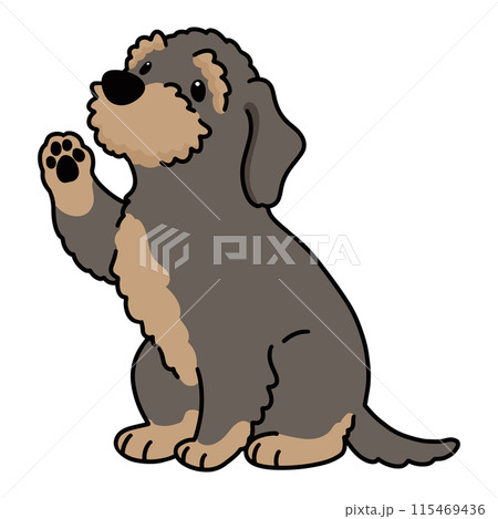 お手をするワイヤーヘアードダックスフンド　主線あり 115469436