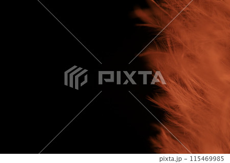 Red texture abstract on black background, bird feather, macro photography	 115469985