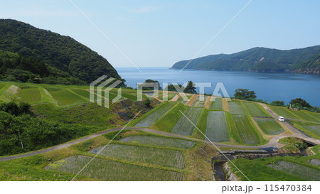 海と棚田 若狭田烏浦 海と棚田 若狭田烏浦 115470384