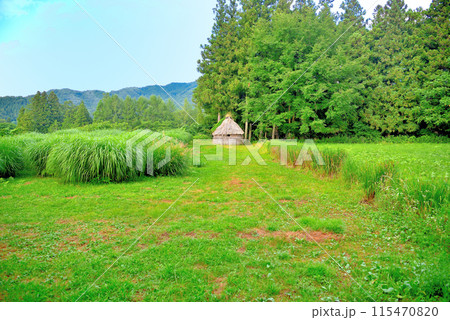 東北・遠野・山口のデンデラノ、姥捨て山の伝説の地としても知られる遠野の風景・岩手県遠野市(3) 115470820