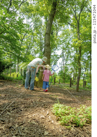 雑木林で虫を探す父親と息子の後ろ姿 雑木林で虫を探す父親と息子の後ろ姿 115471044