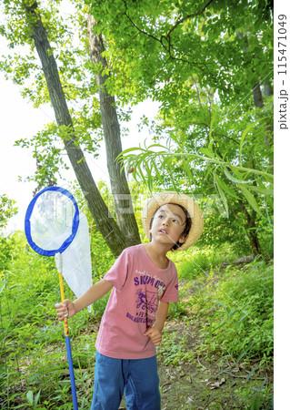 雑木林でセミの抜け殻を見る男の子 115471049