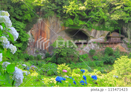 普光寺摩崖仏と紫陽花(豊後大野市) 普光寺摩崖仏と紫陽花(豊後大野市) 115471423