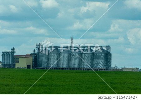 Granary elevator, silver silos on agro manufacturing plant for processing drying cleaning and storage of agricultural products, flour, cereals and grain. A field of green wheat. Granary elevator, silver silos on agro manufacturing plant for processing drying cleaning and storage of agricultural products, flour, cereals and grain. A field of green wheat. 115471427