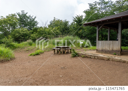 白谷沢登山口から上る棒ノ折山の山道の景色 白谷沢登山口から上る棒ノ折山の山道の景色 115471765