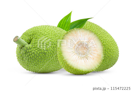 breadfruit isolated on white baclground 115472225