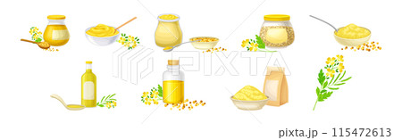Mustard Plant with Seeds and Yellow Flower Vector Set Mustard Plant with Seeds and Yellow Flower Vector Set 115472613