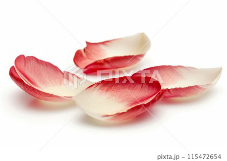 Tulip Petals Isolated on White Background. Generative ai Tulip Petals Isolated on White Background. Generative ai 115472654