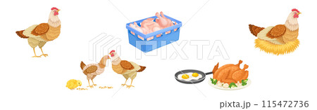Chicken Meat Produce with Poultry Farm Food Vector Set Chicken Meat Produce with Poultry Farm Food Vector Set 115472736