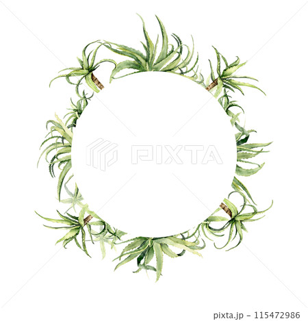Watercolor aloe vera circle frame. Watercolor aloe vera circle frame. 115472986