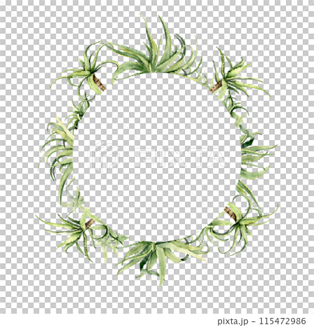 Watercolor aloe vera circle frame. Watercolor aloe vera circle frame. 115472986
