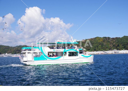 岩手の風景　浄土ヶ浜観光遊覧船　宮古うみねこ丸 115473727
