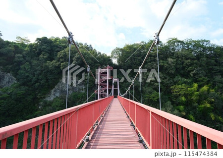 三重県松阪市_茶倉橋4_2023年8月 三重県松阪市_茶倉橋4_2023年8月 115474384