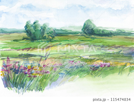 Watercolor meadow with summer flowers, grass, trees and sky. 115474834