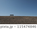青空の下の河川敷のベンチ 115474846