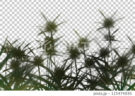 香附剪影卡 香附剪影卡 115474930