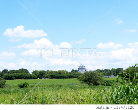中の島公園から関宿にこにこ水辺公園方面の風景 中の島公園から関宿にこにこ水辺公園方面の風景 115475126