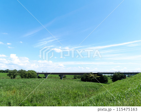 中の島公園から関宿にこにこ水辺公園連絡橋方面の風景 中の島公園から関宿にこにこ水辺公園連絡橋方面の風景 115475163