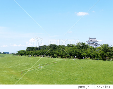 中の島公園連絡橋から関宿にこにこ水辺公園方面の風景 中の島公園連絡橋から関宿にこにこ水辺公園方面の風景 115475164