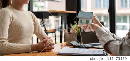 Real Estate Agent Presenting Model House to Client for Home Sale or Insurance Consultation in Modern Office Setting Real Estate Agent Presenting Model House to Client for Home Sale or Insurance Consultation in Modern Office Setting 115475189