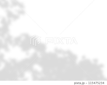 leaf shadows on a white wall 115475234