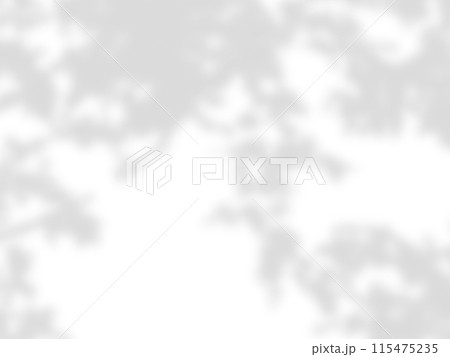 leaf shadows on a white wall leaf shadows on a white wall 115475235