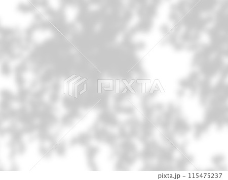 leaf shadows on a white wall leaf shadows on a white wall 115475237
