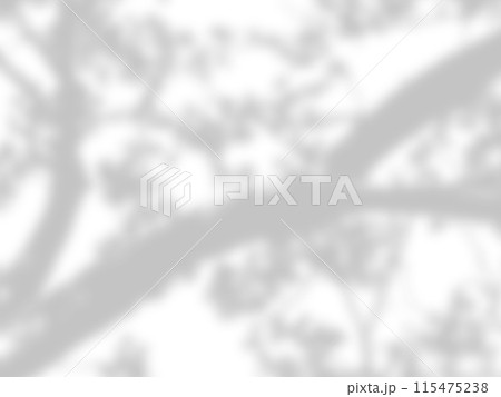 leaf shadows on a white wall leaf shadows on a white wall 115475238