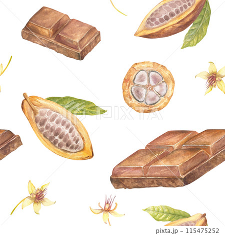 Seamless pattern with cocoa fruit and chocolate watercolor illustration, hand drawn sketch of vegetable, leaves, flowers. Botanical drawing of tropical fruit. Engraving for food packaging design Seamless pattern with cocoa fruit and chocolate watercolor illustration, hand drawn sketch of vegetable, leaves, flowers. Botanical drawing of tropical fruit. Engraving for food packaging design 115475252