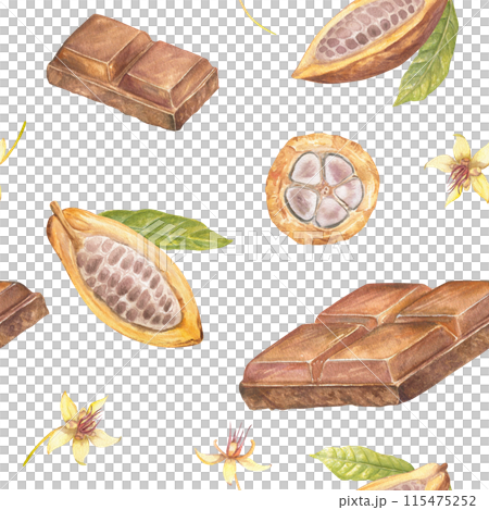 Seamless pattern with cocoa fruit and chocolate watercolor illustration, hand drawn sketch of vegetable, leaves, flowers. Botanical drawing of tropical fruit. Engraving for food packaging design Seamless pattern with cocoa fruit and chocolate watercolor illustration, hand drawn sketch of vegetable, leaves, flowers. Botanical drawing of tropical fruit. Engraving for food packaging design 115475252