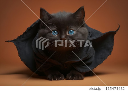 cute black kitten in a mantle, isolated on an orange background 115475482