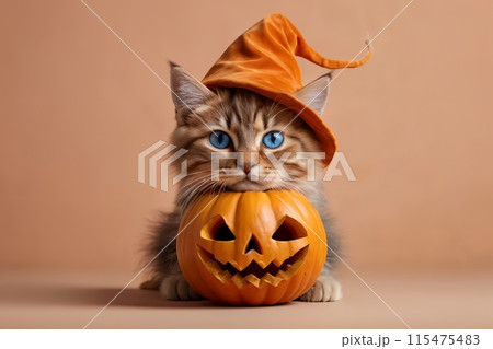 cute kitten with pumpkin, isolated on orange background 115475483