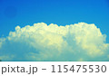 猛暑の今年初の入道雲。 115475530