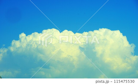 猛暑の今年初の入道雲。 115475530