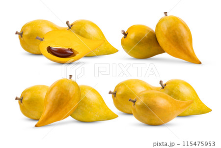 canistel fruit (Egg fruit, Tiesa, Yellow sapote, Canistelsapote, Chesa, Pouteria lucuma) isolated on white background 115475953